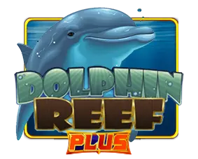 dolphin